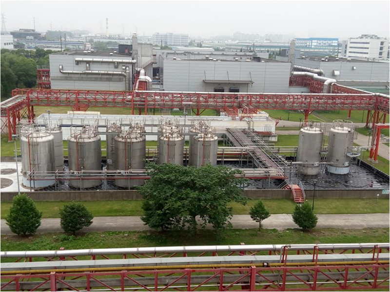 �㾫�������S�Ŀ (2).png