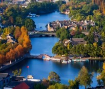 2025���Ї������ИI(y��)��Ƥ���������ИI(y��)ʮ����Ҏ(gu��)��-�����ИI(y��)��(zh��n)��Ҏ(gu��)��-�����ИI(y��)������ԃ-�ɶ�������ԃ��˾��